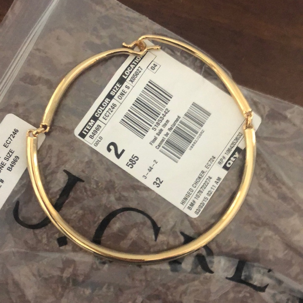 J Crew hinged choker